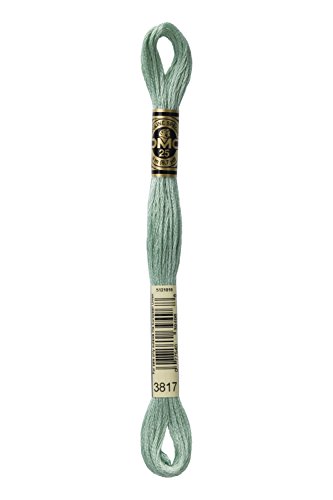 Image of DMC 117-3817 Mouline Stranded Cotton Six Strand Embroidery Floss Thread, Light Celadon Green, 8.7-Yard