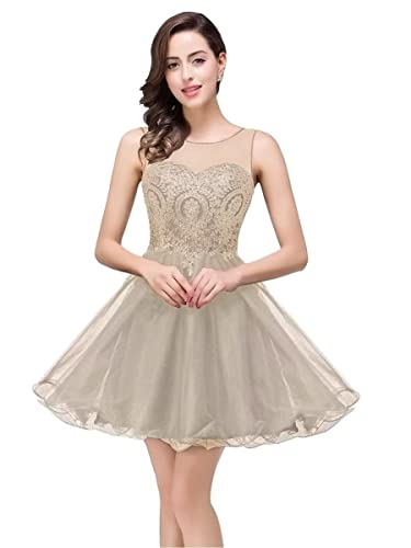 BABYONLINE D.R.E.S.S. Robe de Soirée Cocktail Femme Courte Col Rond Transparent Dos Nu en Tulle Robe Gris Claire 34 Cover