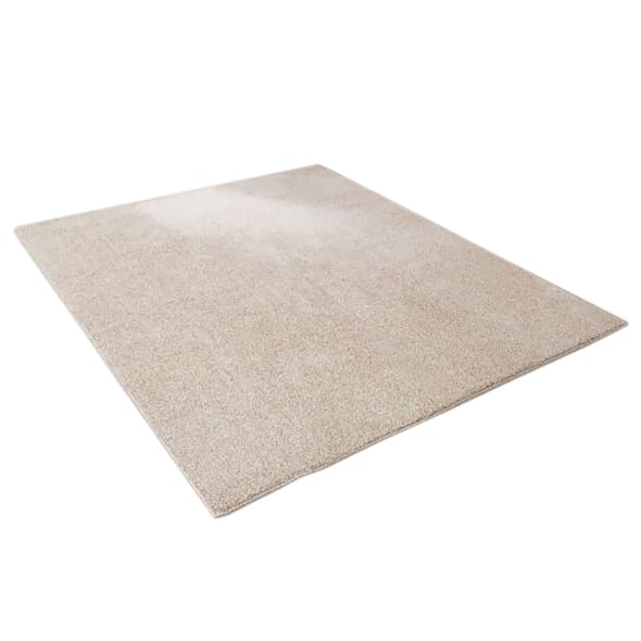 Amazon｜ニトリ(NITORI) 抗菌防臭 やわらかシャギーラグ PBシャギー BE