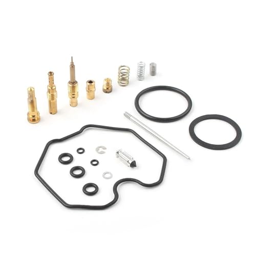 Kit reparación carburador TRX 250EX: recupera la potencia y aceleración original