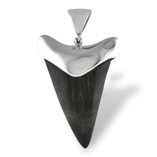 Dente di squalo fossile della Carolina del Sud su montatura in argento sterling fatta a mano