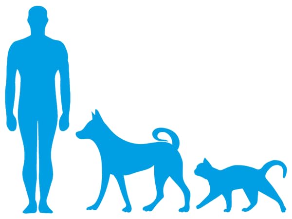 Oralade Advance GI + Oral Rehydration Support | 6 x 500 ml | Flüssiges Diät-Ergänzungsfuttermittel für Hunde und Katzen | Für die mikroenterale Ernährung