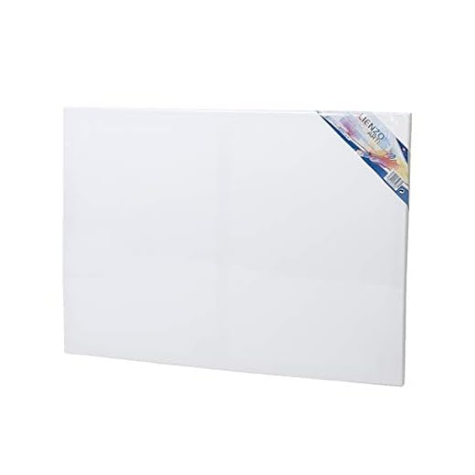 EUROXANTY Lienzo para pintar | Lienzo de tela | Bastidor de madera | Para todo tipo de técnicas de pintura | Tela de 380 g/m2 | Lienzo de espesor 16 mm (60 x 90 CM)