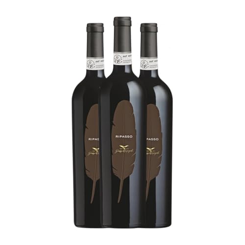 Giuseppe Campagnola Piuma Valpolicella Ripasso 75 cl Rotwein (Karton mit...