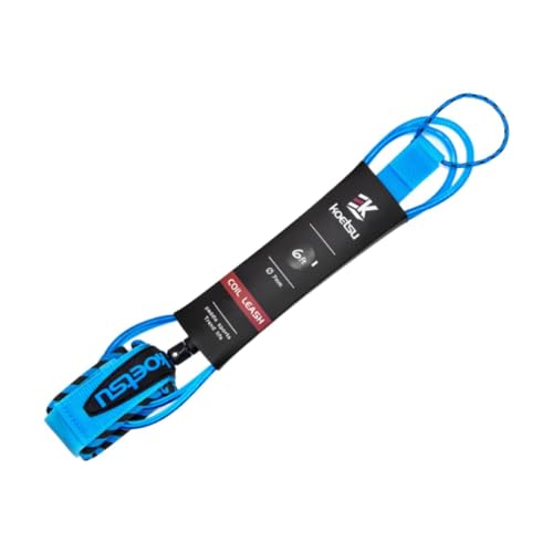 CAQYPVH T[t{[hp[VXgbvX^hAbvph{[hJbNp̑񃍁[v, 6tB[g