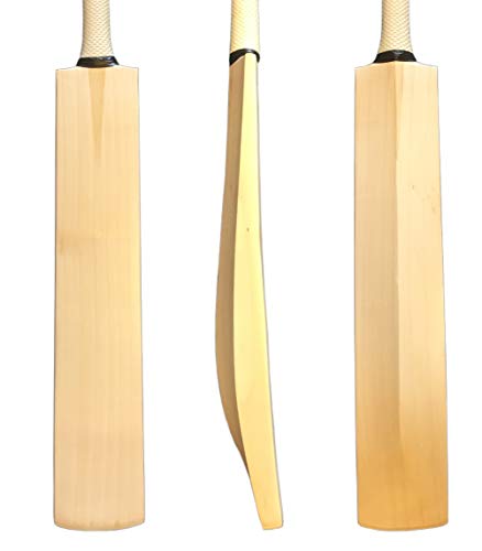Batte de cricket en saule anglais 0,9 kg idéale pour vos matchs de loisir en plein air