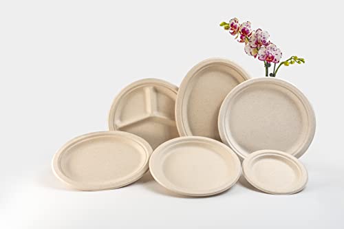 125 Count, Green Wave 100% Compostable Plates | Paper Plates |Eco-Friendly Plates | Bagasse Plates | Disposable Plates | Biodegradable Plates | 7 Inches Round Plates, Made Of Sugarcane Fiber. Ov-P007 #TOP4