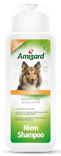 Amigard Hundeshampoo Sensitiv – Natürliches Hunde Shampoo mit Neemöl – Sanfte Pflege bei Juckreiz & Hautirritationen – ohne Duftstoffe – 250 ml