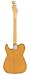 Fender American Professional II Telecaster - Butterscotch Blonde Bundle with Case, Strap, Cable, and Guitar Cleaning Kit