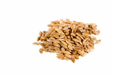 Raw Garden Canary Seed (Alpiste) (200 Capsules) #TOP3