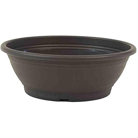 Siena Garden Pflanzschale Plant Bowl, Charcoal, 30 cm Cover
