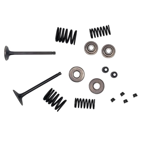 Kit de válvula de reconstrucción de culata para reparar tu ATV antes de salir de ruta 2