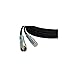 Camplex LEMO FUW-PUW Indoor Studio SMPTE Fiber Camera Cable - 250 Foot