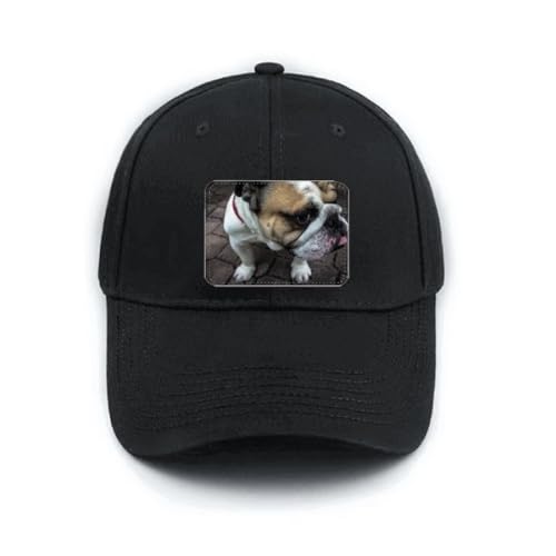 Casquette de baseball pour bulldog noir réglable chapeau chien
