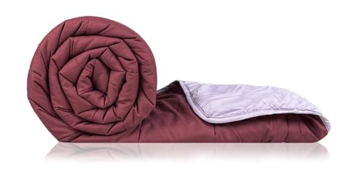 Image of Zinnia Ultra Soft Microfibre Reversible Comforter -Double 230 X 255 CM, Light Purple and Burgundy(Solid - Dark)