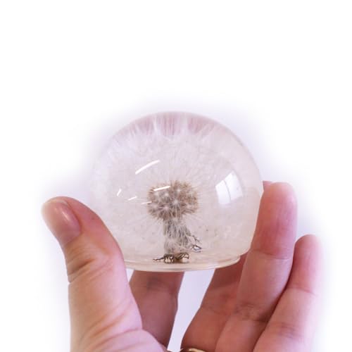 REALBUG 2.5\" Real Dandelion Globe