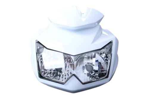 Optique et tête de fourche Z750 Kawasaki blanc contre carénage cassé