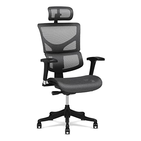 X-Chair X1 High End Task Chair, Grey Flex Mesh with Headrest - Ergonomic Office Seat/Dynamic Variable Lumbar Support/Highly Adjustable/Relaxed Recline/Perfect for Office or Home Desk Cover