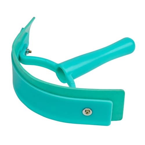 Roma Brights Sweat Scraper, Turquoise
