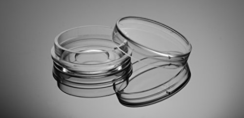 Sterile 24 Well Glass Bottom Cell Culture Plate - Glass Dia. 10mm
