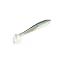 Green Gizzard Shad