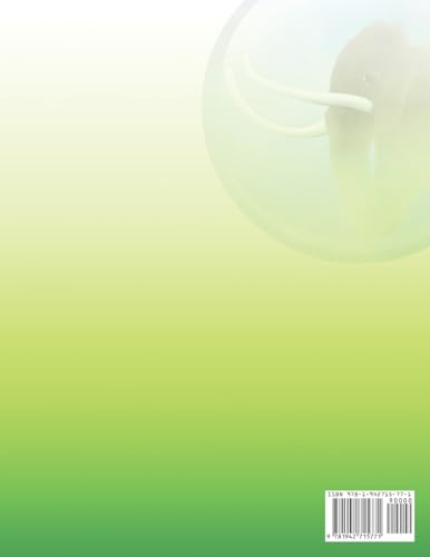 Math Mammoth Grade 7 Skills Review Workbook Answer Key - Image 2