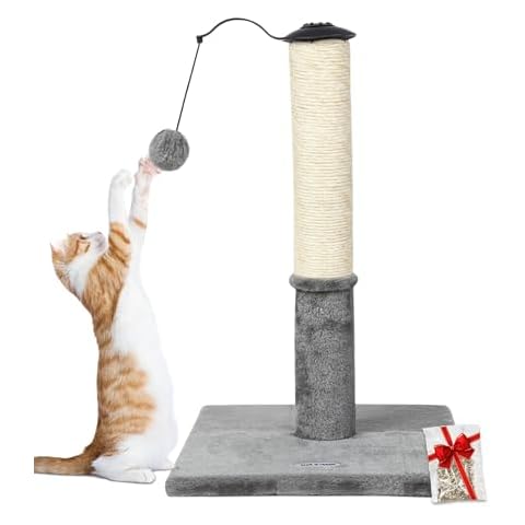 Happi N Pets 22" Cat Scratching Posts for Indoor Cats, Carpet Cat Scratch Post, Sisal Cat Scratcher, Cat Post with Rotatable Hanging Balls & Stable Base, Cat Scratchers for Kittens-Light Gray Cover
