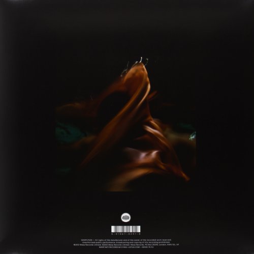 Until the Quiet Comes [Disco de Vinil]