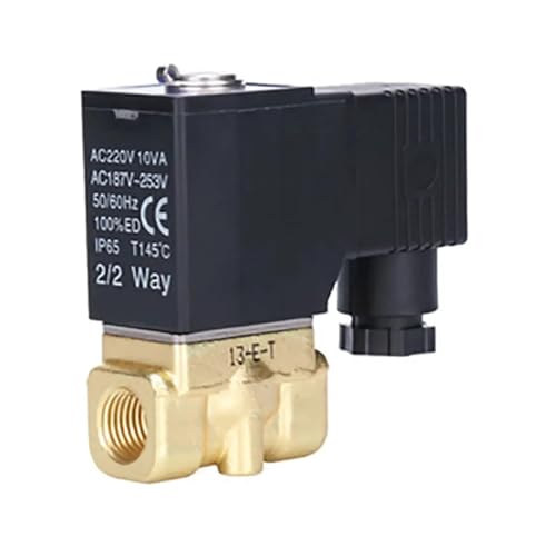 Électrovanne de vidange robuste 2W250-25 pour commutation d'eau durable - 2