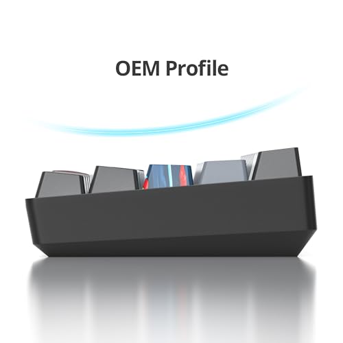Image of Fogruaden 60% Mechanical Gaming Keyboard, 61 Keys, RGB Backlit, Compact 60 Percent Wired Keyboard for Win /Mac PC Gamer, Easy to Carry on Trip (61Dolch-BlueSwitch-RGB)