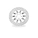 Performance Machine Hooligan Image Series One-Piece Brake Rotor 0133-1522HOOS