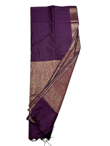 Sanavi's Saree Kuthir muga silk saree – image 5