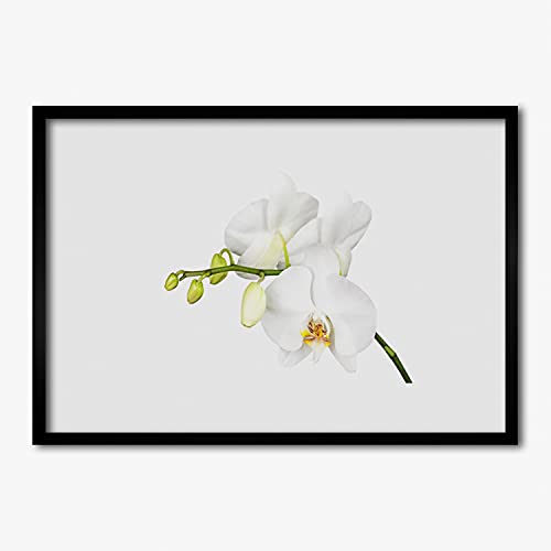 Affiche avec cadre orchidée 70x50 pour habiller un mur vide de salon