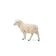 SCHLEICH Farm World | Schaf 13882 Bauernhof Spielfigur | detailgetreue Tierfiguren | tolles Geschenk für Jungen und Mädchen | Bauernhof Spielzeug ab 3 Jahre | 9 x 4 x 6 cm