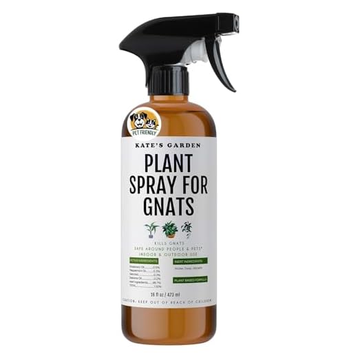 Plant Spray Bottle for Insects (16oz) by Kate's Garden. Garden Plant Care Peppermint Oil Spray for Bugs. Fungus Gnat Killer for Indoor Plants & Outdoors. Insecticide for Fruit Flies, Spider Mites.