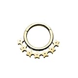Pierced Owl 16GA Wild West 7 Star Edged 316L Acero Inoxidable Quirúrgico sin costuras Septum Cartílago Hélice Daith Segmento Clicker Ring, Metal, Sin gemas.,