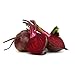 Frische Rote Bete | Rote Bete aus Deutschland (1000 g)