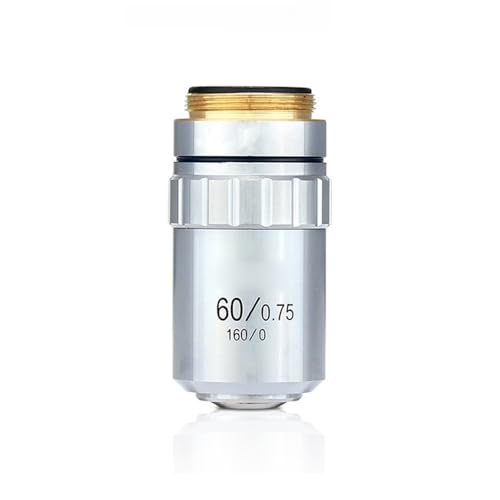 {pANZT[ 5X 50X 80X 40X 100X 샌Y(60X)