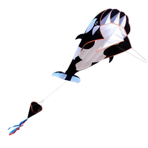 Cerf-volant de plage grand modèle pour enfants et blanc