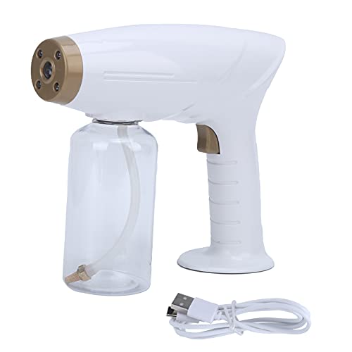 Pulvérisateur à vapeur portable USB de 300 ML pour désinfection efficace