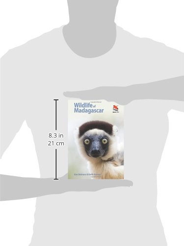 Wildlife of Madagascar (Wildlife Explorer Guides) - Image 3