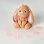 Bunny + Name