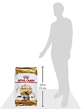 Royal Canin Maine Coon Katzenfutter, 10 kg