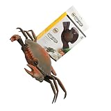 Crabe factice : allumez l'appareil, la petite lumière sur sa tête clignotera. animal électrique