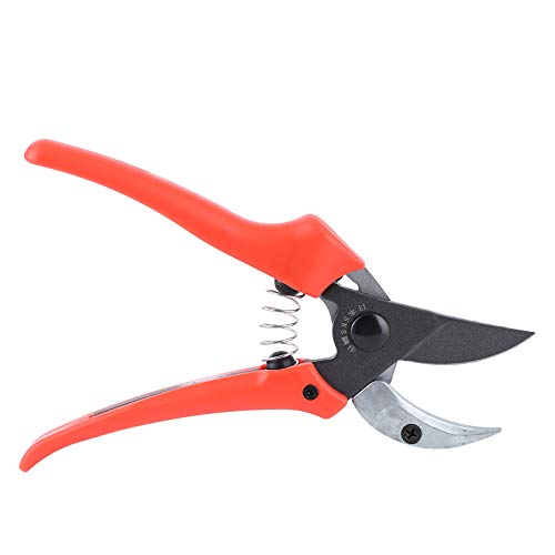 Lybunair Garden Pruning Shears: Fruit Tree Clippers Hand Trimming Scissors Gardening Accessory