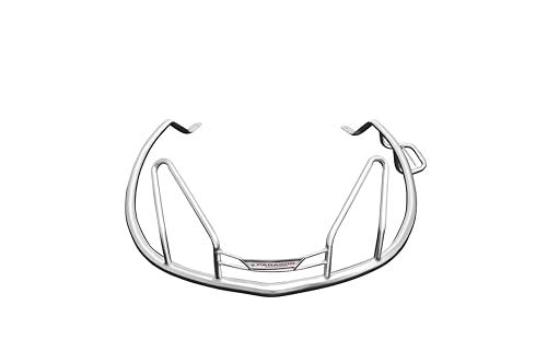 Image of Paragon Accessories's Rear guard with fitting Accessories Suitable for Honda Activa 125 Next Gen | Stainless Steel