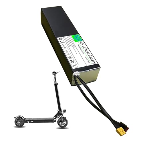 WSDAV Electric Scooter Battery 48V Lithium Battery Pack 48V 11Ah
