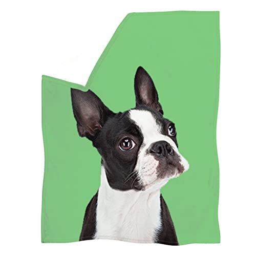 Acondicionador Perros Hipoalergénicos Marca YINGD