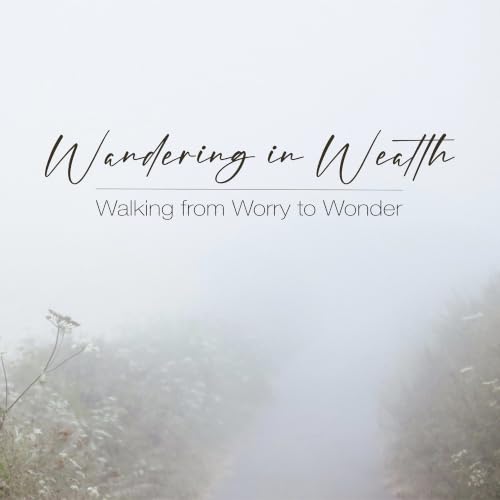 Wandering in Wealth