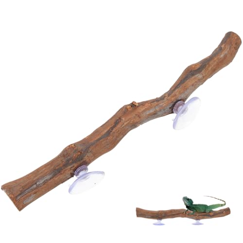 BESPORTBLE Klettergerüst Für Bartagamen Eidechsenspielzeug Aus Holz Reptilienzubehör Sicherer Holzast Versteck Für Kronengecko